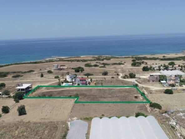 a1ffdf02 7e98 403f bcd3 c4697d652d12 1