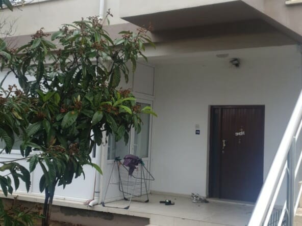 68c073a0 991c 4cdc 90ae a0b0d4260894