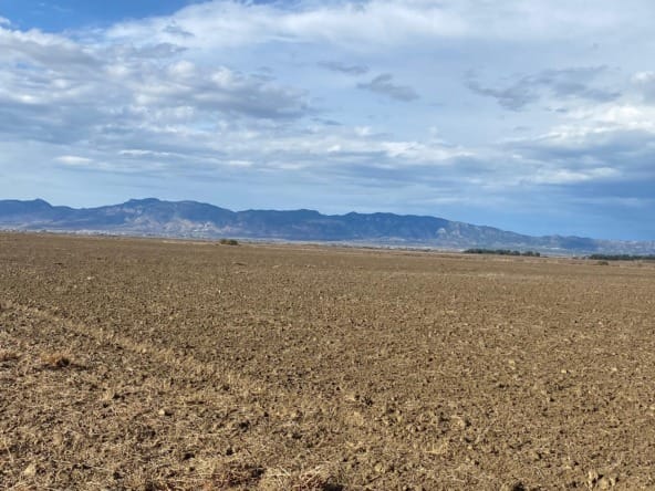 IMG 20231218 WA0041 1