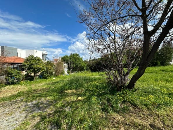 WhatsApp Gorsel 2024 03 21 saat 12.44.38 c73dba8f