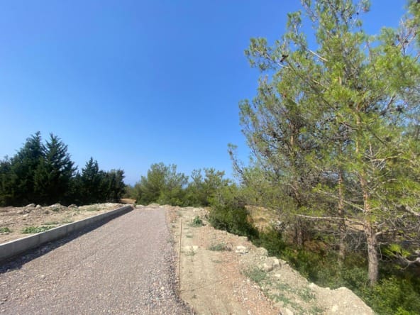 WhatsApp Gorsel 2024 06 21 saat 16.15.52 5b0498f3