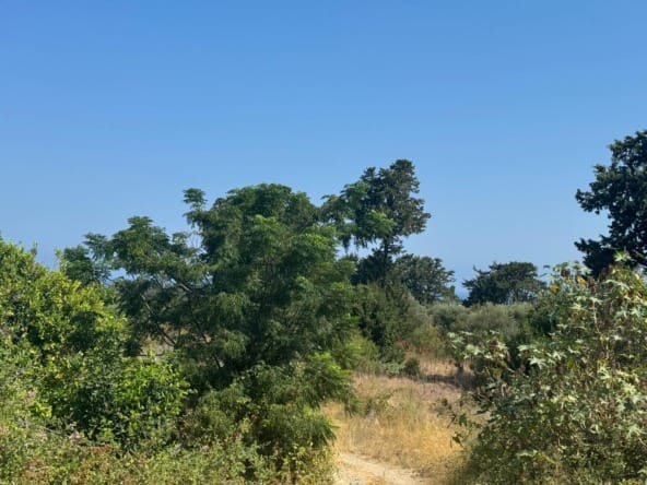 WhatsApp Image 2024 07 16 at 14.33.58 ea26ee92