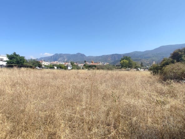 WhatsApp Image 2024 08 14 at 15.19.29 1cacf4a0