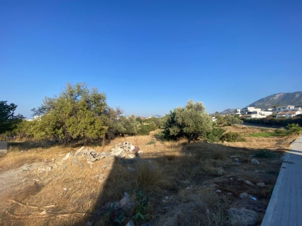 WhatsApp Image 2024 08 23 at 11.17.41 eee4ed1b