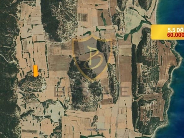 99d4db95c50973f81f9961eed9e9665a thumb