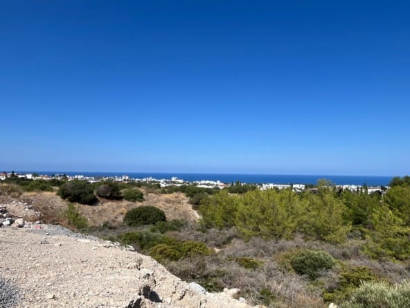 WhatsApp Image 2024 10 04 at 15.40.45 f9a2de21